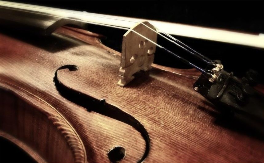 LE VIOLON DANS l’ÂME- Atelier de lutherie